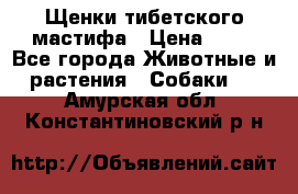 Щенки тибетского мастифа › Цена ­ 80 - Все города Животные и растения » Собаки   . Амурская обл.,Константиновский р-н